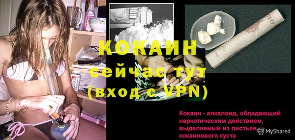 сатива Балахна