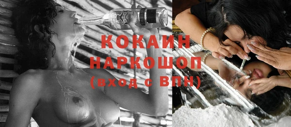 сатива Балахна