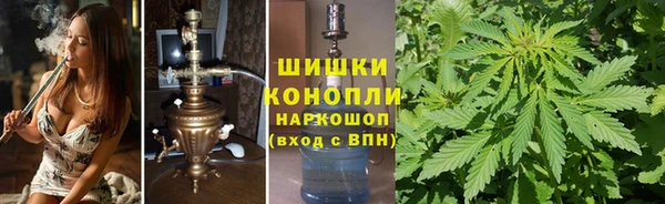 крисы Баксан