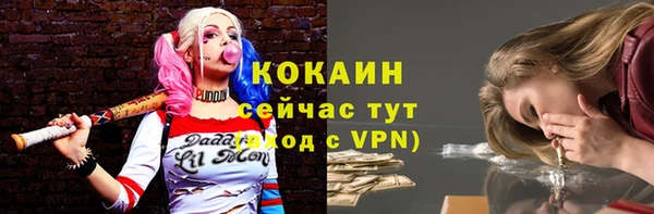 крисы Баксан