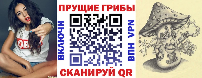 Галлюциногенные грибы GOLDEN TEACHER  продажа наркотиков  Кувшиново 